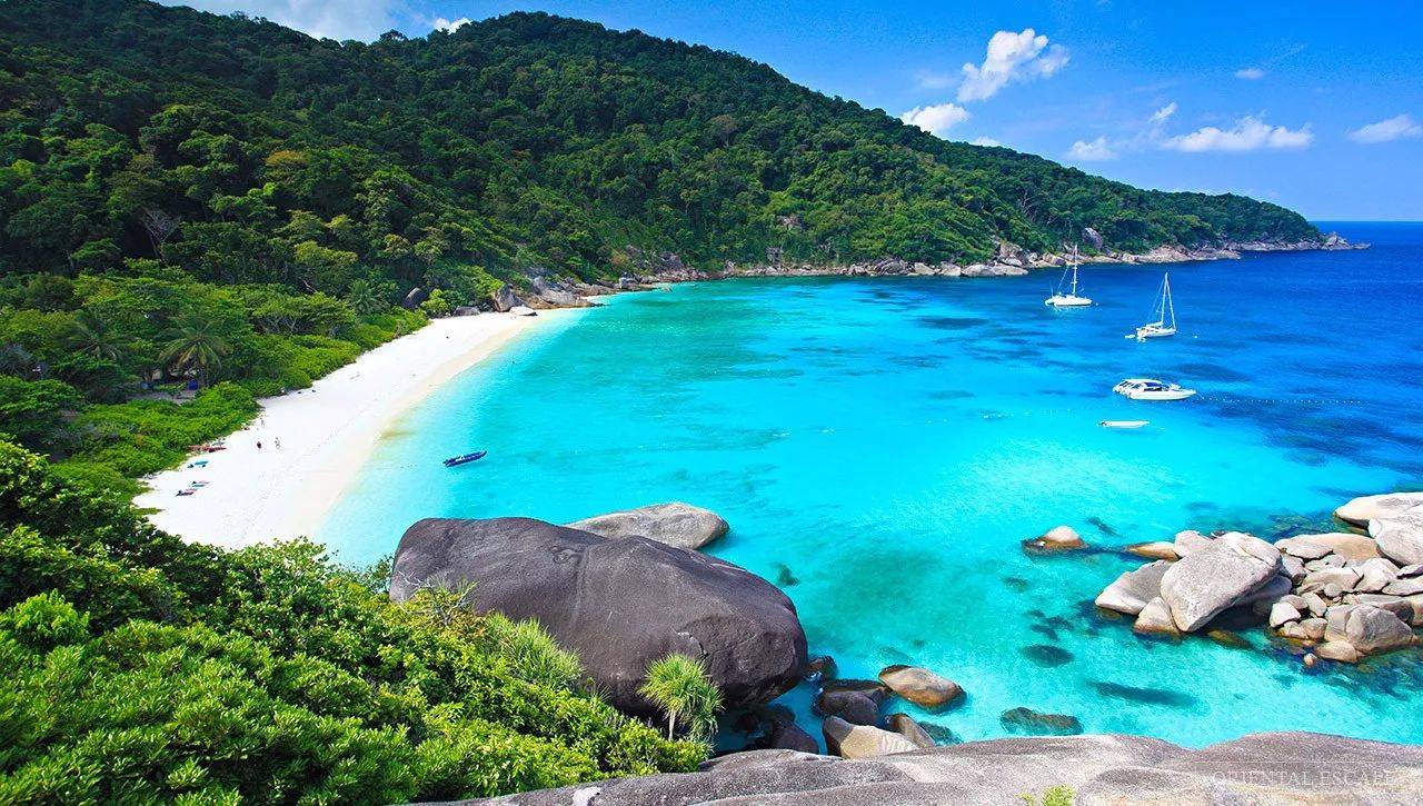 Similan Island Tour